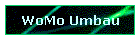 WoMo Umbau
